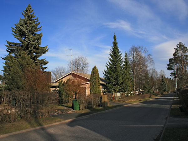 Kutojankatua